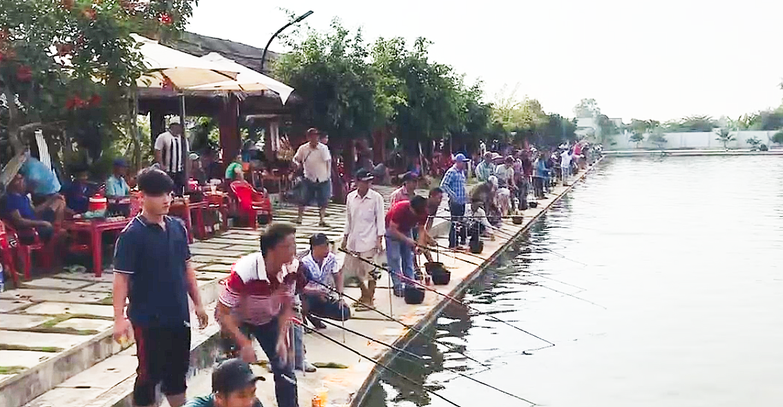 Sport fishing competition a disguised gambling in Vietnam's Mekong Delta