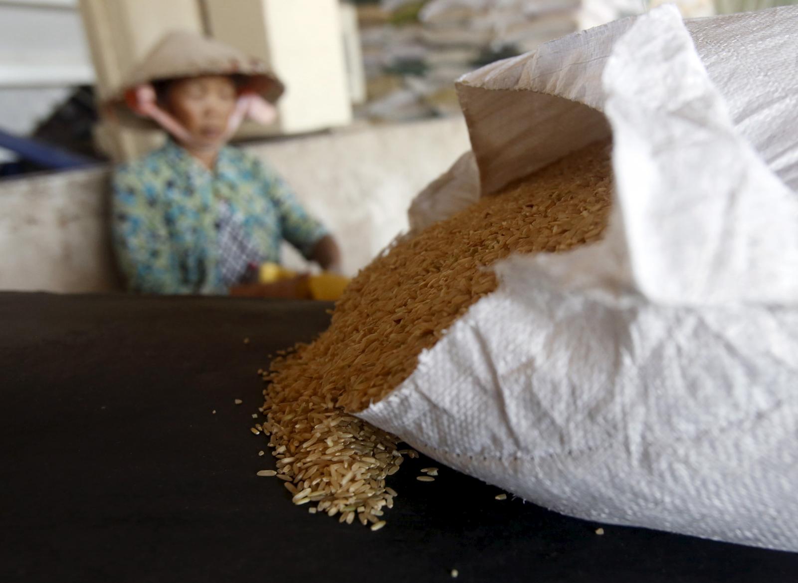 Philippines set to import 1.2 mln T of rice as caps removed