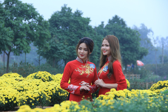Pot mum field new selfie spot as Hanoians fall in love with southern flowers
