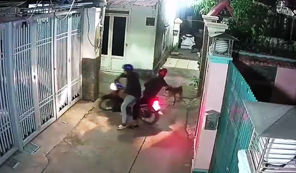 Owner held at gunpoint after dog thieves taser his pet in Saigon