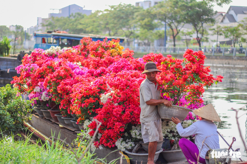 Ornamental plants flood into Ho Chi Minh City in lead-up to Tet