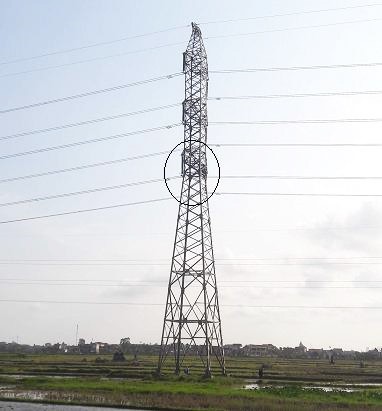 Vietnamese man subdued after staying on pylon for 36 hours