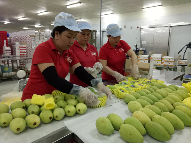 Vietnamese mangoes licensed for export to US