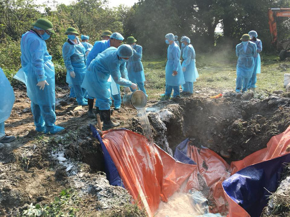 African swine fever hits 14th locality in Vietnam