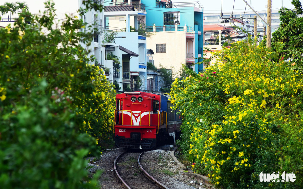 Yellow bells brighten up railroad neighborhoods in Ho Chi Minh City