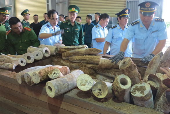 Vietnam seizes record amount of purported elephant tusks in Da Nang
