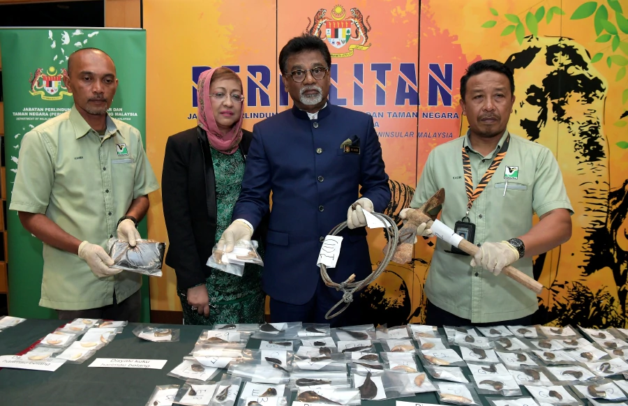 Malaysia arrests Vietnam poachers, seizes tiger, bear parts