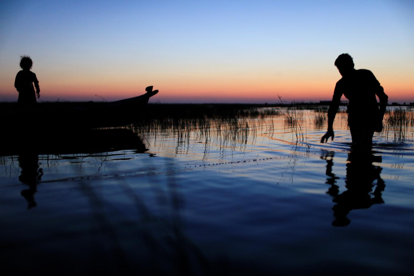 'Water is life': unexpected rainfall revives Iraq's historic marshlands