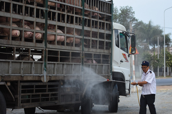 Vietnam culls 1.2 million pigs as African swine fever spreads nationwide