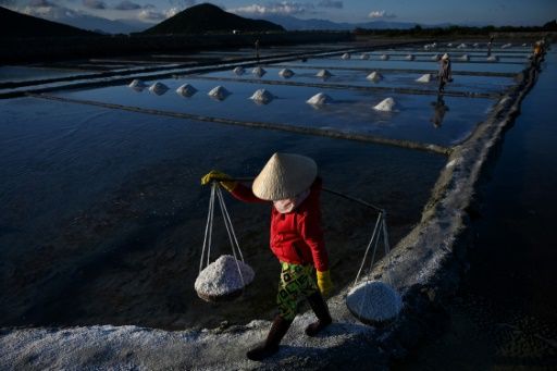 Mineral misery: Vietnam salt farmers battered by imports, climate
