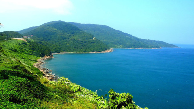 NGO works to conserve Son Tra, considered Da Nang’s green lungs