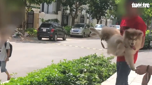 Viet Kieu dog-owner apologizes to apartment security guards following disrespectful manners
