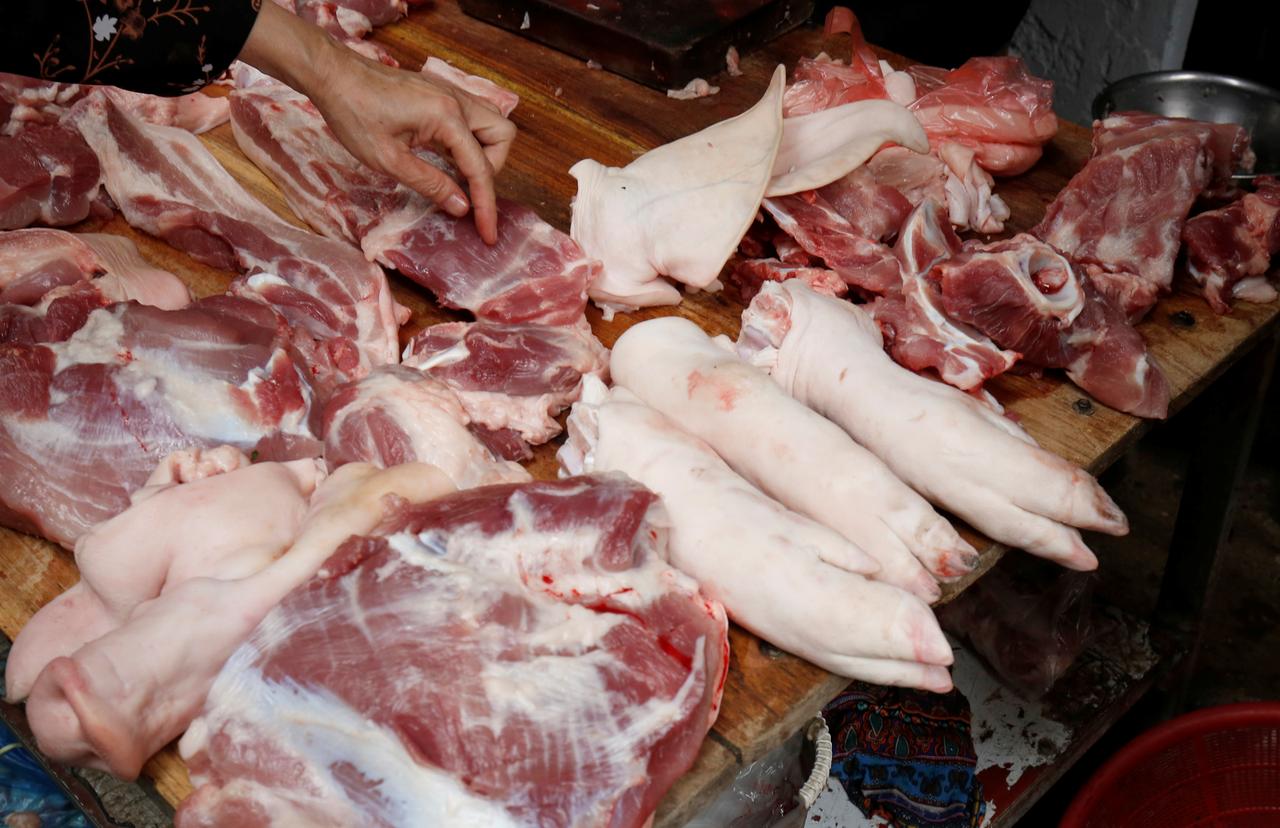 African swine fever hits industrial farms in Vietnam, 2.8 million pigs culled