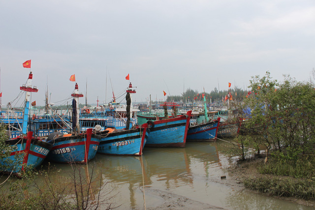 Father, son drown after getting tangled in fishing nets off northern Vietnam