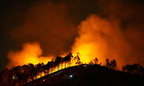 Wildfire erupts in Vietnam’s Ha Tinh Province as locals burn tree branches
