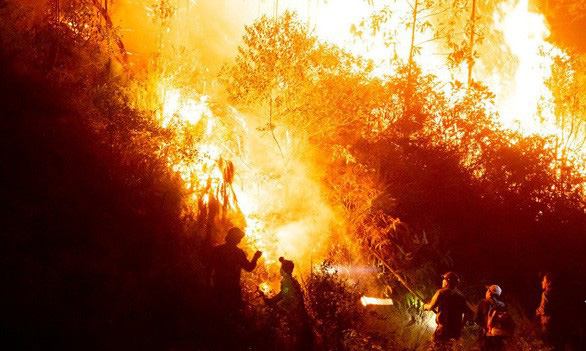 High temperature to increase risk of wildfire in central Vietnam