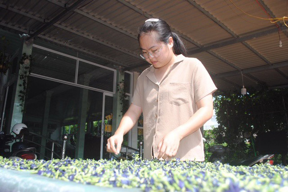 Vietnamese biology teacher makes tea from flowers in Mekong Delta's flower hub
