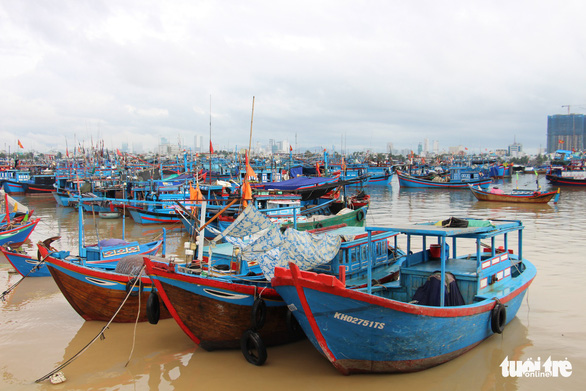 Vietnam mulls seasonal fishing ban to replenish stock
