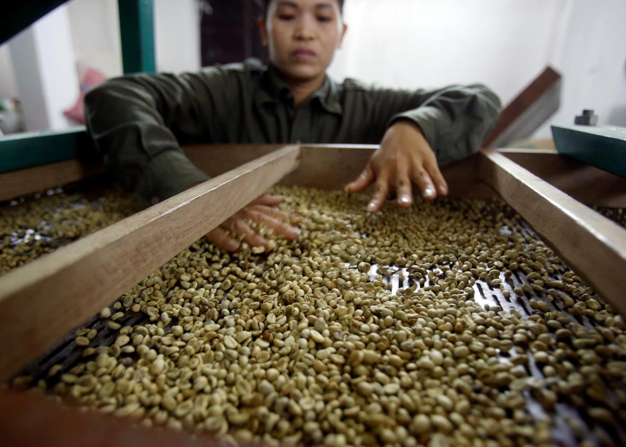 Vietnam Jan-Aug coffee exports likely fell 10.3% y/y: govt
