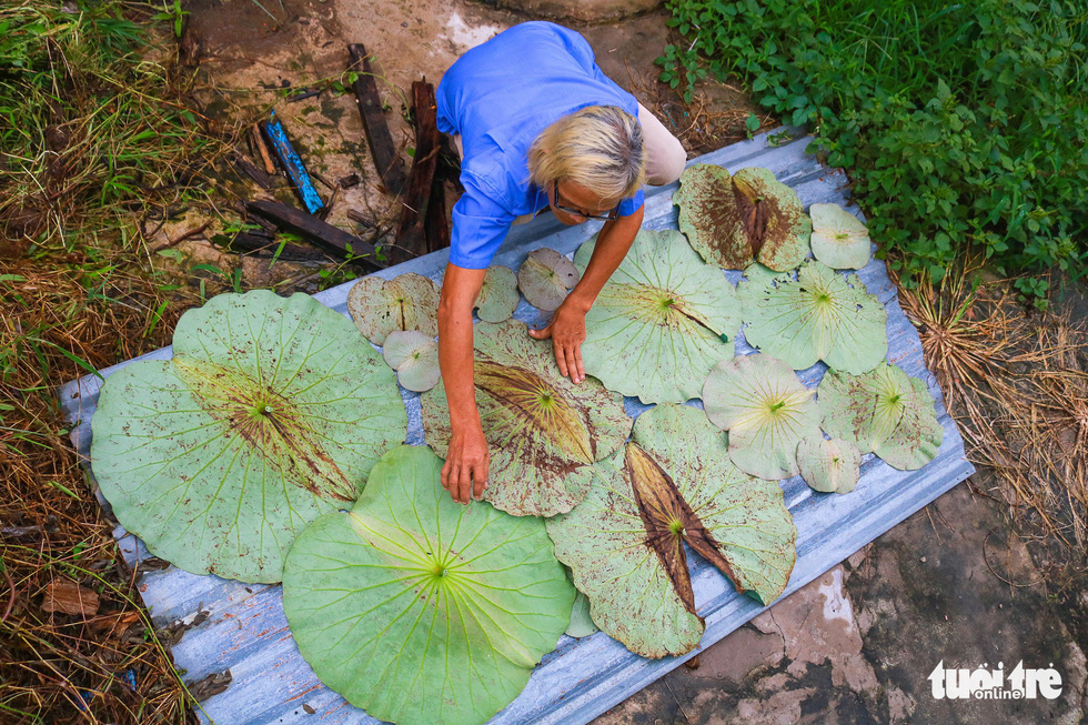 Vietnamese artist makes paintings from lotus leaves