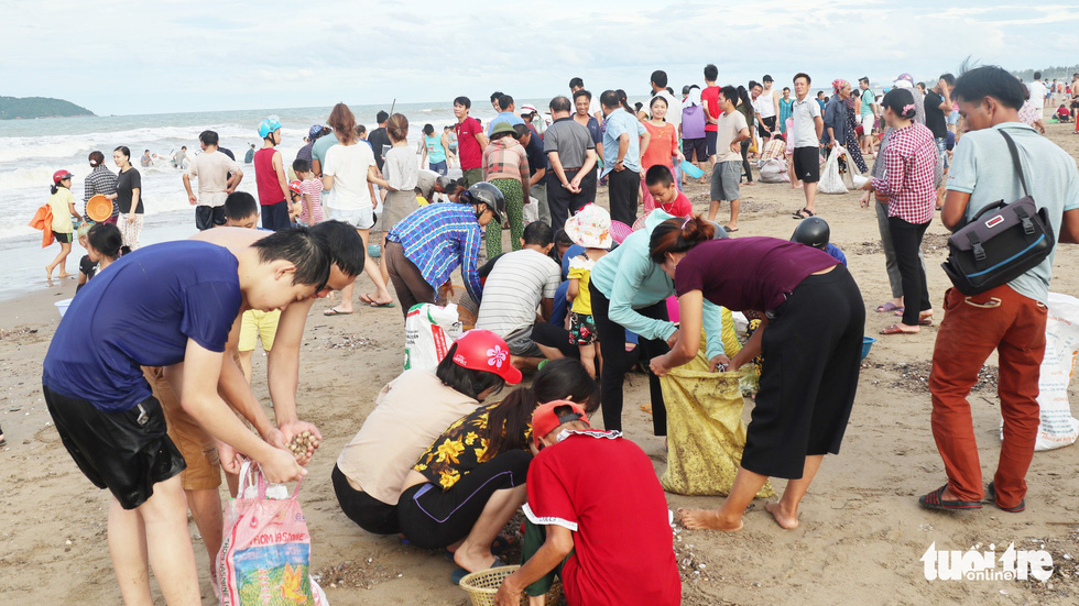 In Vietnam, hundreds flock to beach to collect shellfish washed ashore by storm