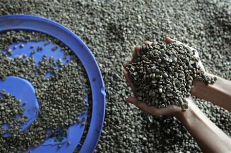Vietnam Jan-Sept coffee exports likely fell 12% y/y - govt