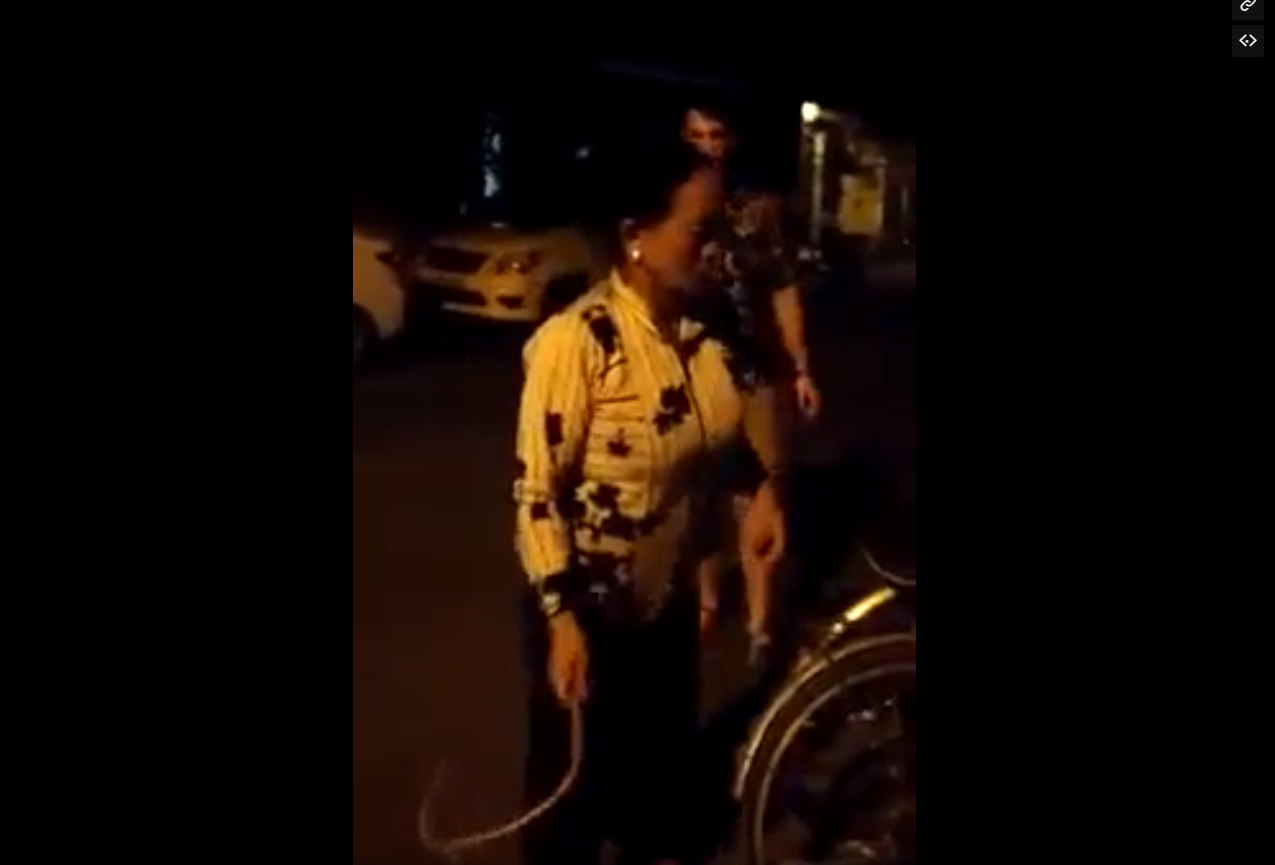 Vietnam street vendor filmed threatening foreigner in Hoi An