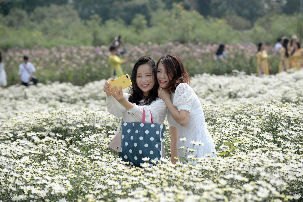 Daisy fields draw crowds in Hanoi as flowers blossom in chilly weather