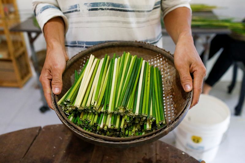 Vietnamese grass is greener in battle against plastic straws