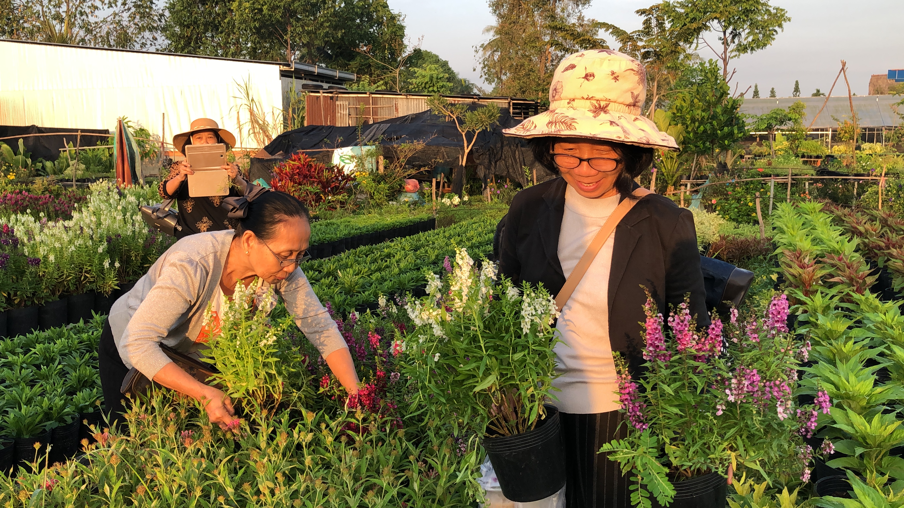 The flower village you should visit in Vietnam’s Mekong Delta