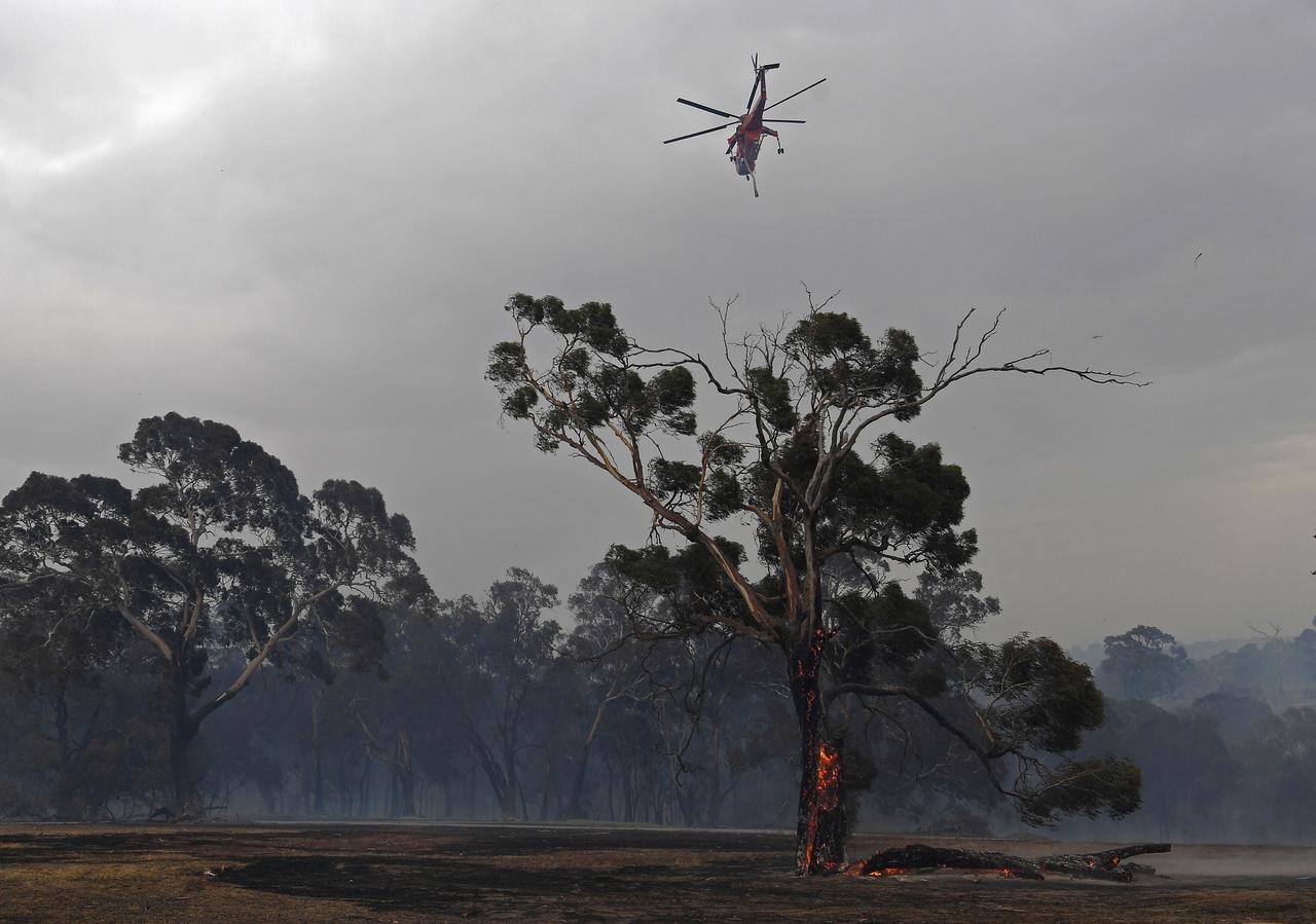 Australia's 'columns of fire' force mass evacuation, claim ninth life
