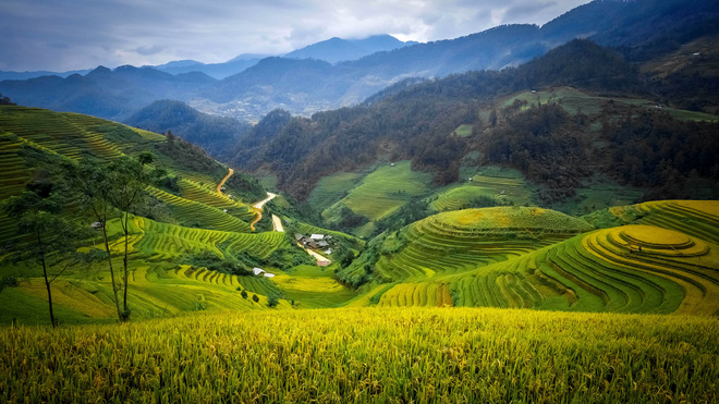 Vietnam’s Mu Cang Chai should top 2020 travel list: CNBC
