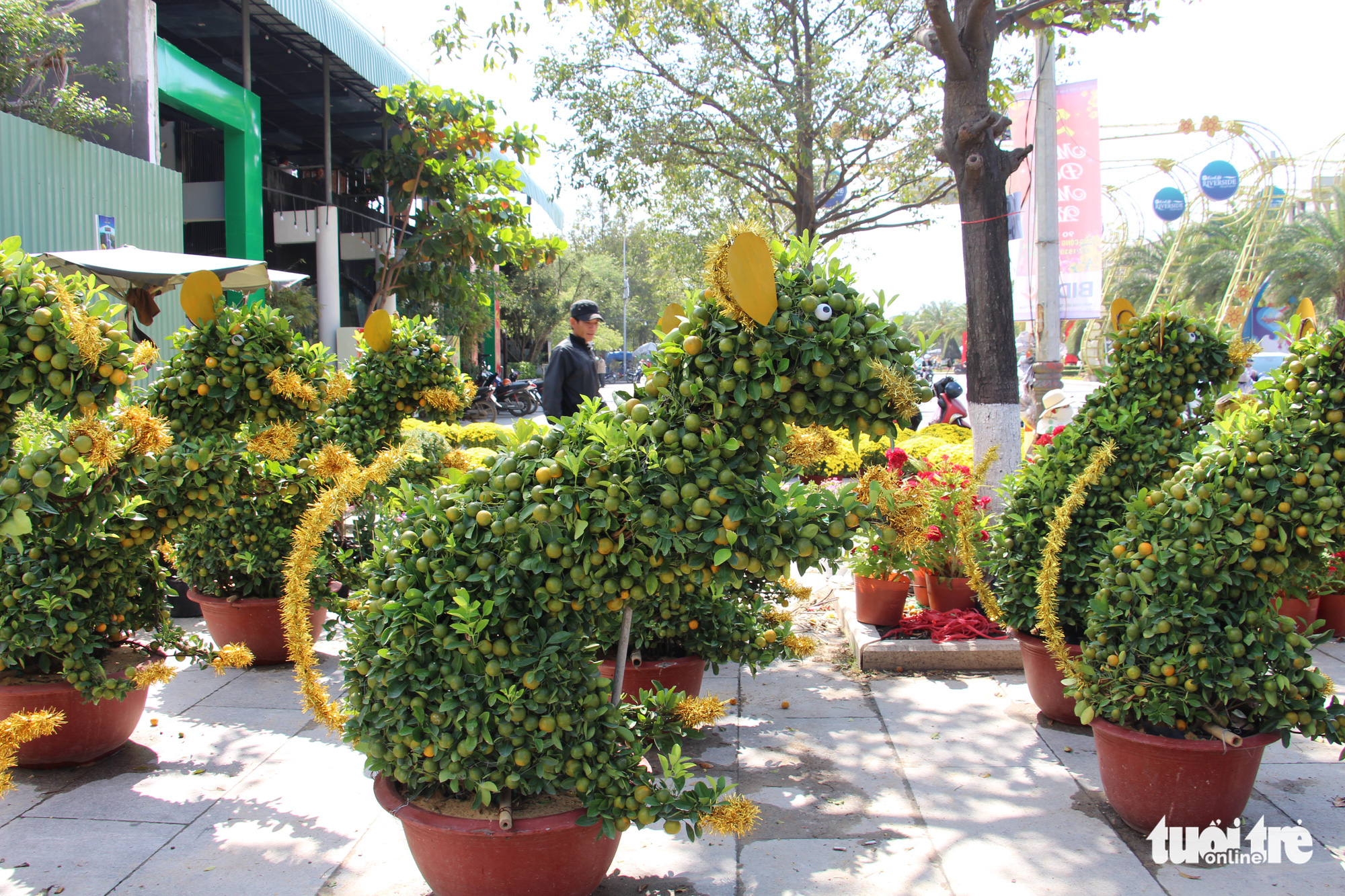 Rat-shaped kumquat bonsai trees a Tet decor trend in southern Vietnam