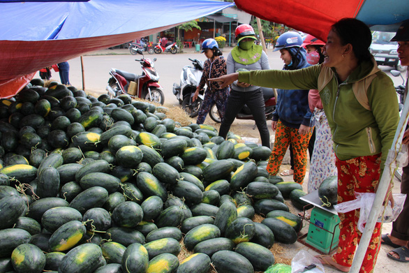 Vietnamese farm produce unsold as trade halted across Vietnam-China border amid coronavirus fear