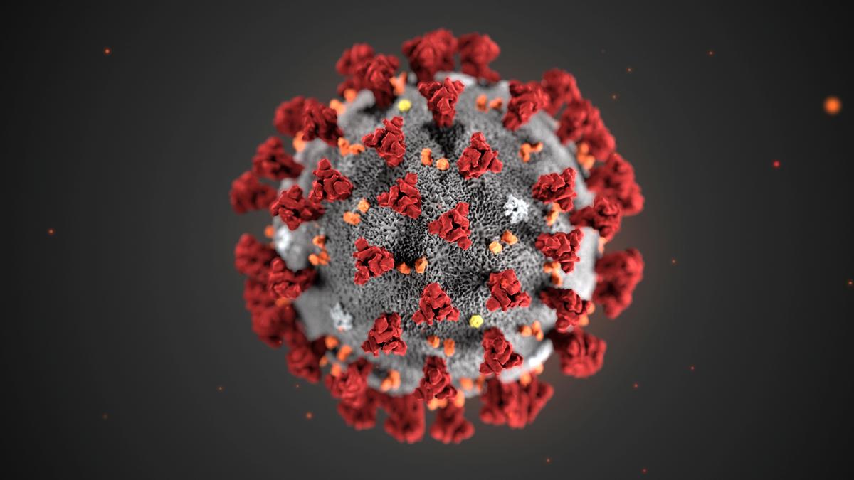 The novel coronavirus: What we do and don’t know