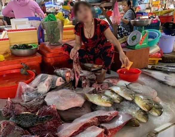 In Vietnam, endangered sea turtle allegedly slaughtered, sold in public