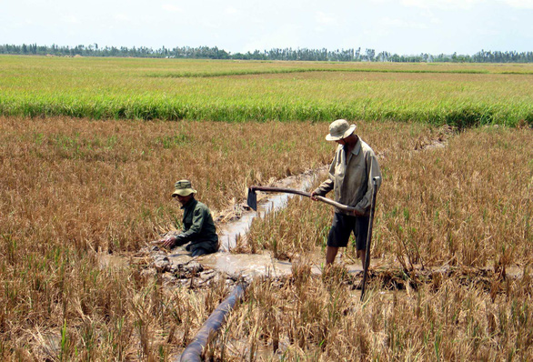 Mekong Delta provinces get $170,000 for saline intrusion control