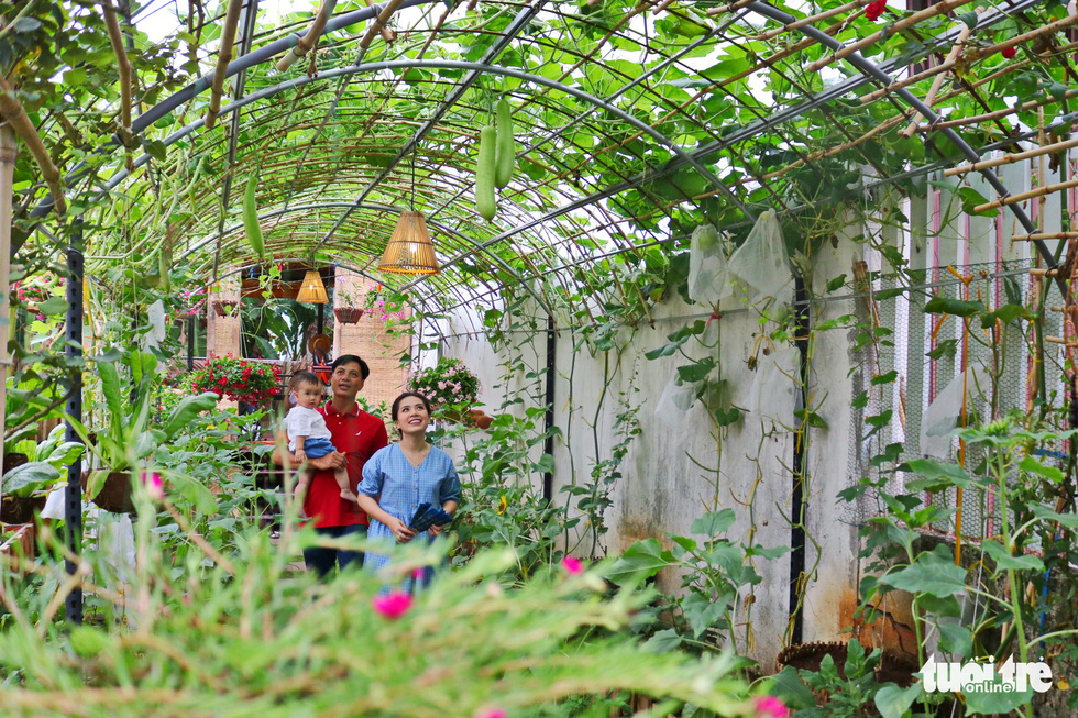 Saigon couple turns empty land into vegetable garden during social distancing