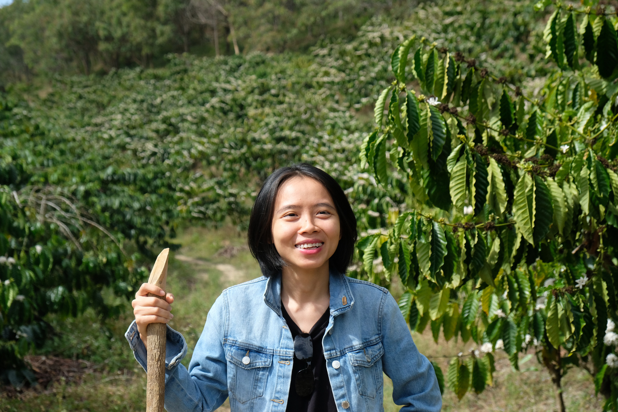 Vietnamese woman pioneers remarkable forest protection campaign