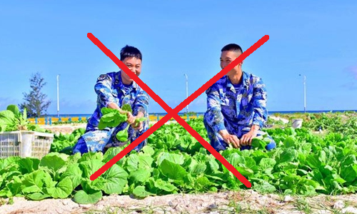 Vietnam opposes China’s vegetable cultivation in Hoang Sa