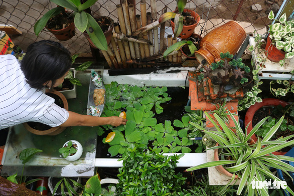 Garbage to garden: Saigon woman upcycles scraps into garden ornaments