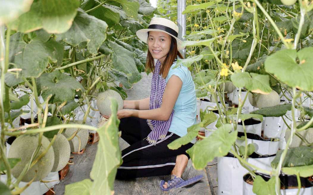 Vietnamese engineer puts love for hi-tech agriculture to test in Mekong Delta hometown