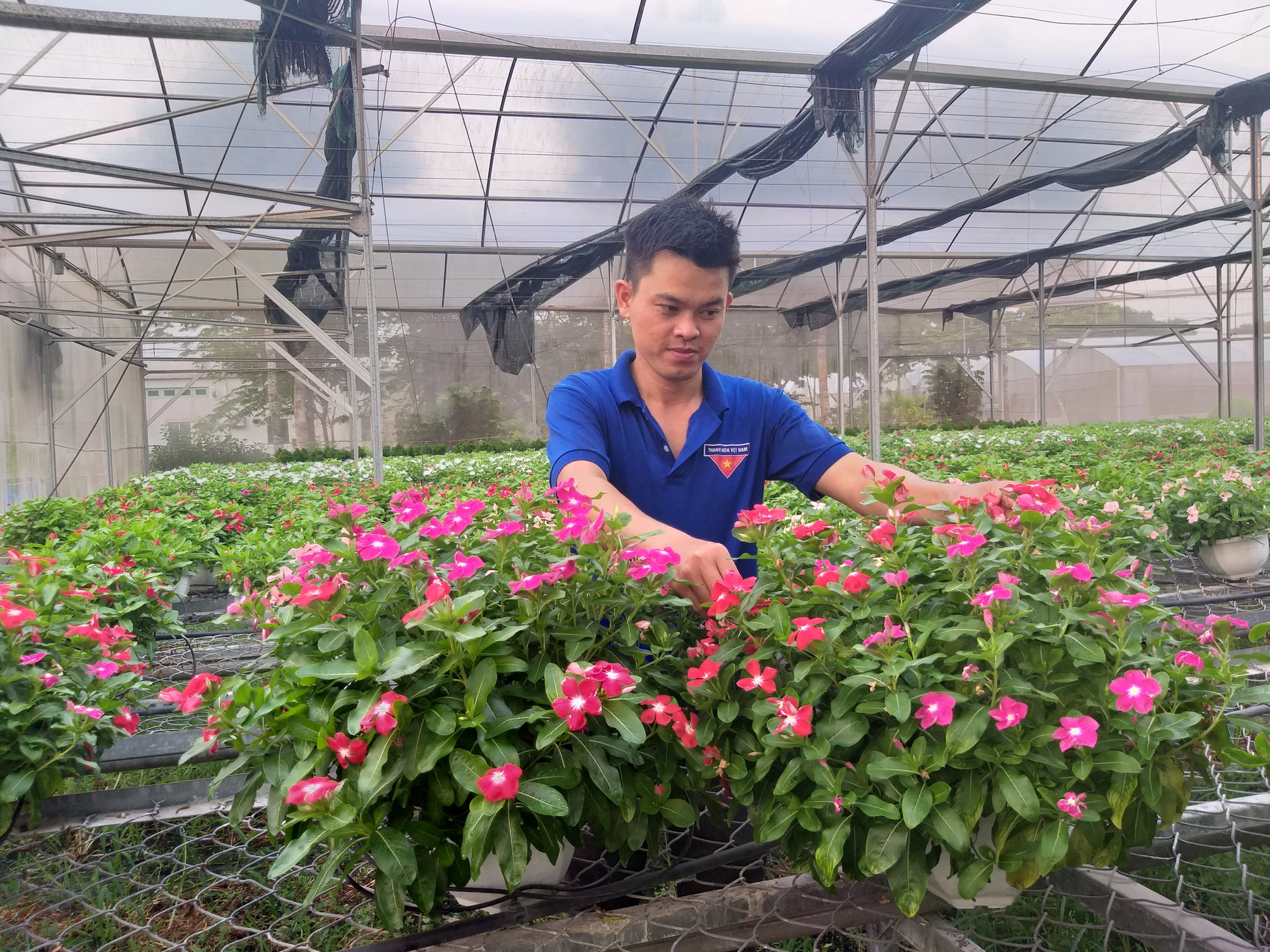 Agriculturalist pushes hi-tech farming in Vietnam to limits