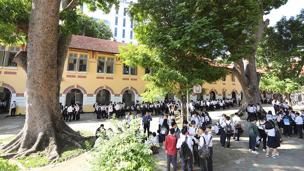 Sticker shock: Saigon school boards caught off guard by whopping tree upkeep bills