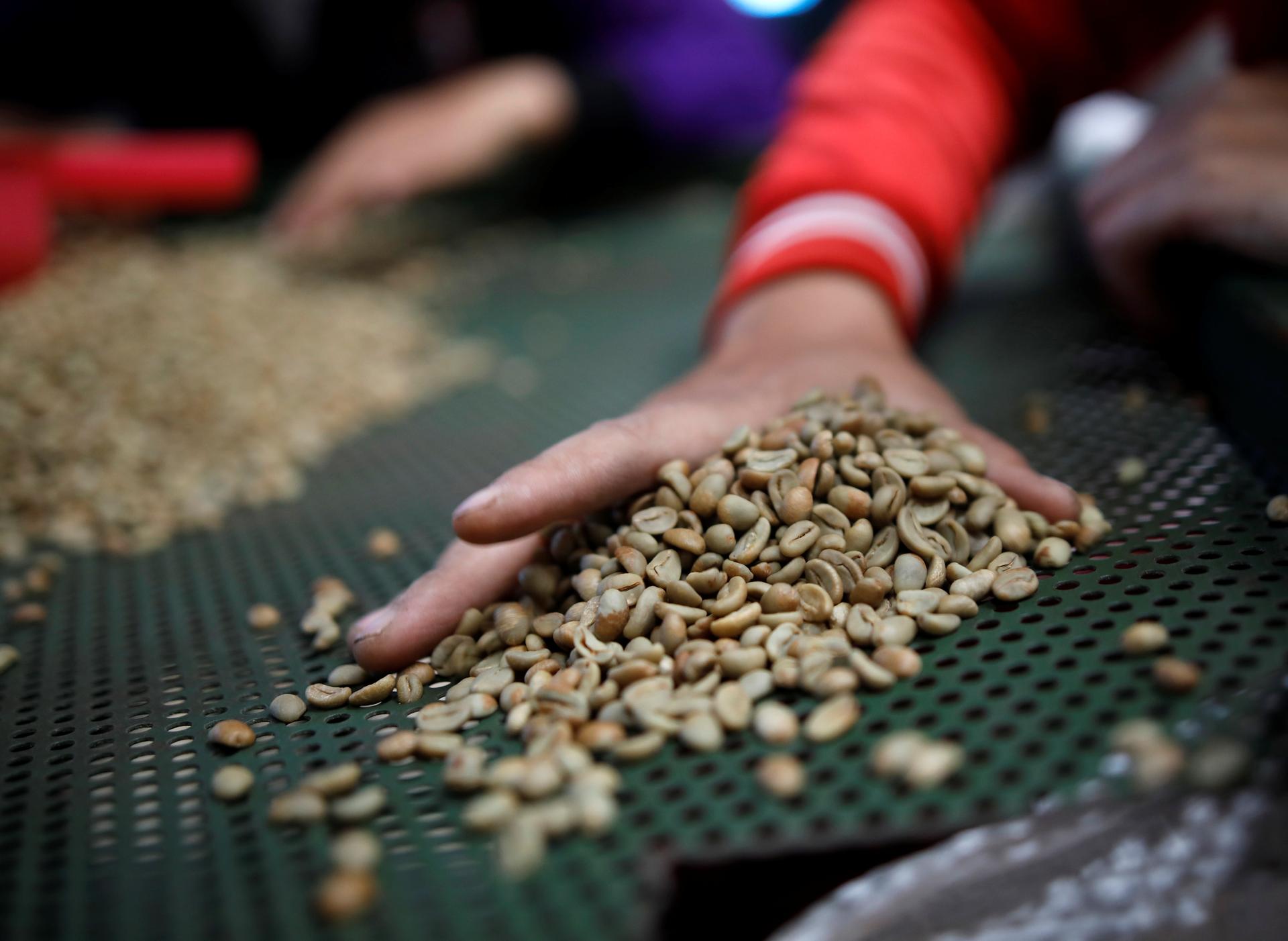 Asia Coffee-Vietnam stocks low; trade picks up in Indonesia