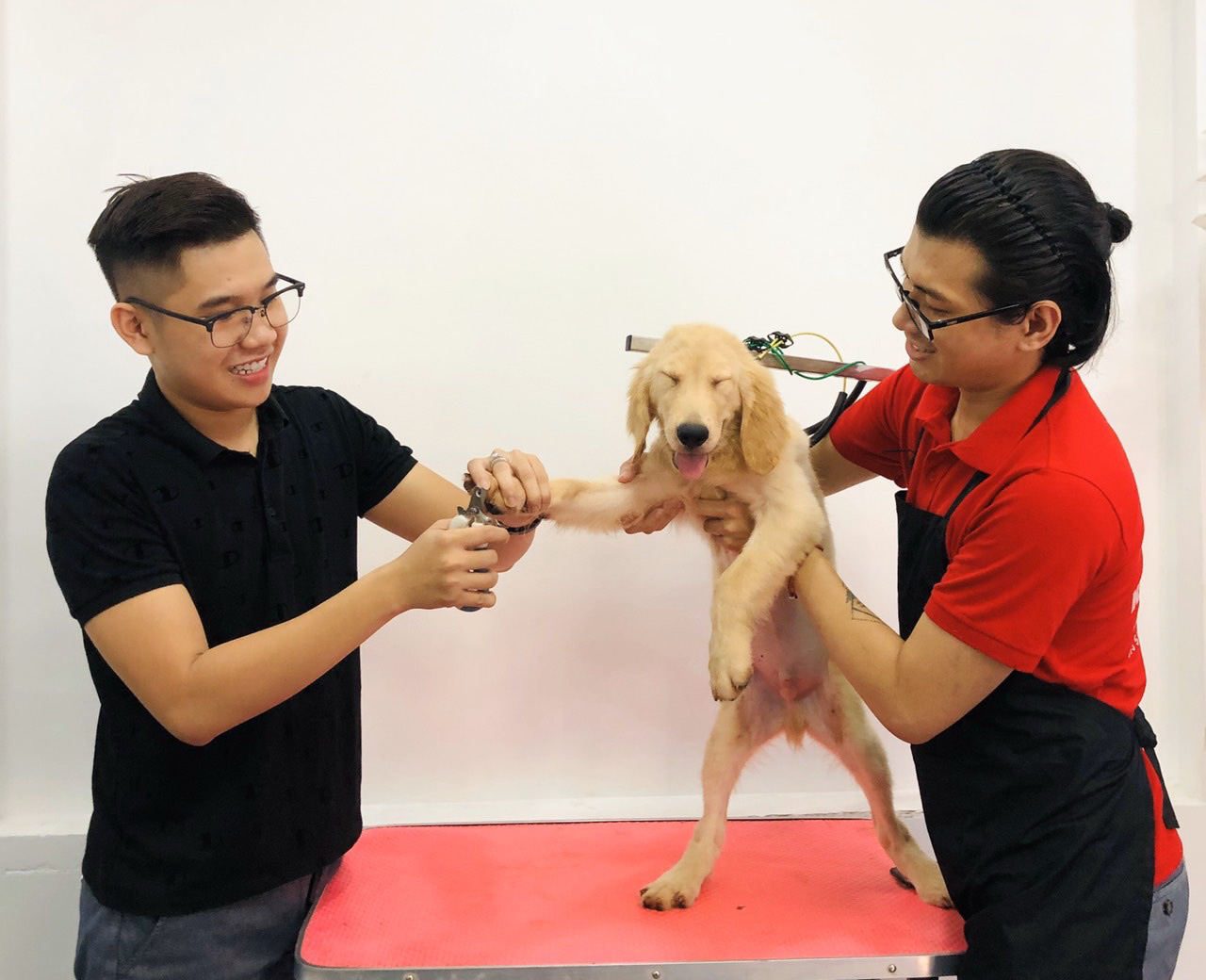 Vietnamese man delivers door-to-door spa service for pet owners