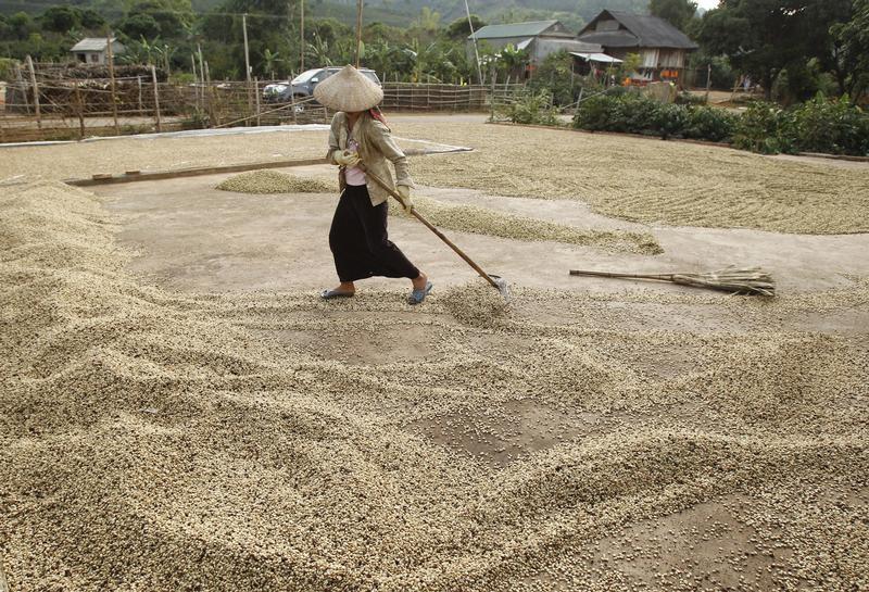 Asia Coffee-Vietnam prices tepid on low demand, ample supplies in Indonesia, Brazil