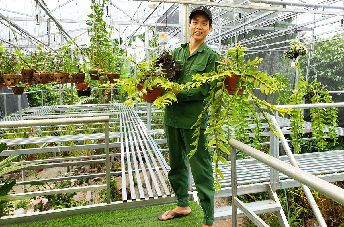 Self-made Vietnamese youth scores big with orchid nursery
