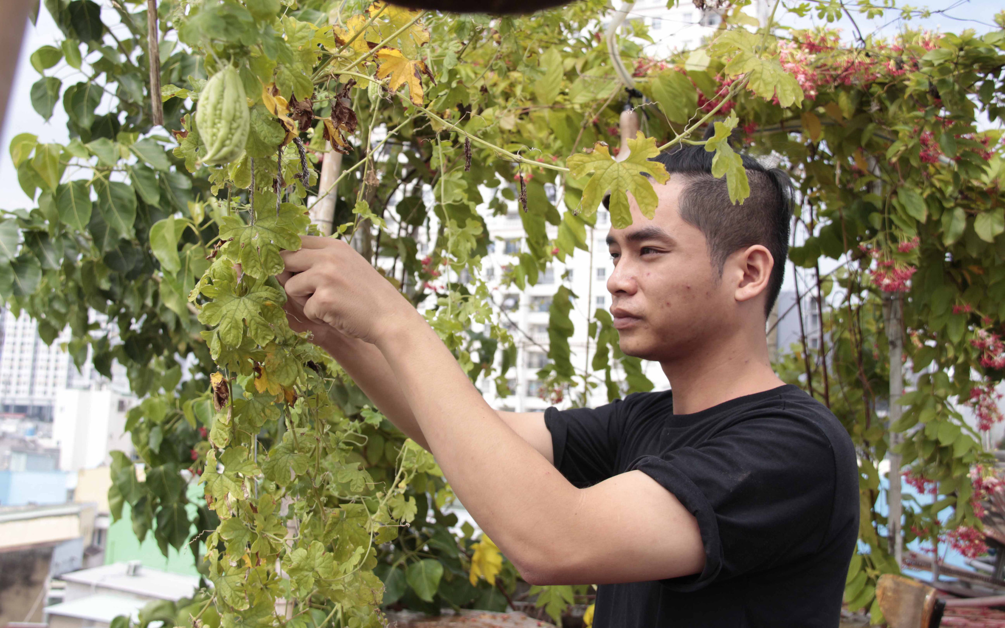Saigonese sowing seeds of sustainable agriculture in concrete jungle