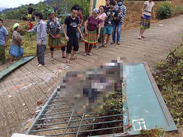 Three die as school gate collapses on children in northern Vietnam